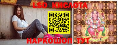 крисы Малгобек