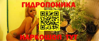 ПСИЛОЦИБИНОВЫЕ ГРИБЫ Моздок