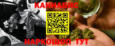 крисы Малгобек