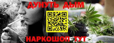 крисы Малгобек