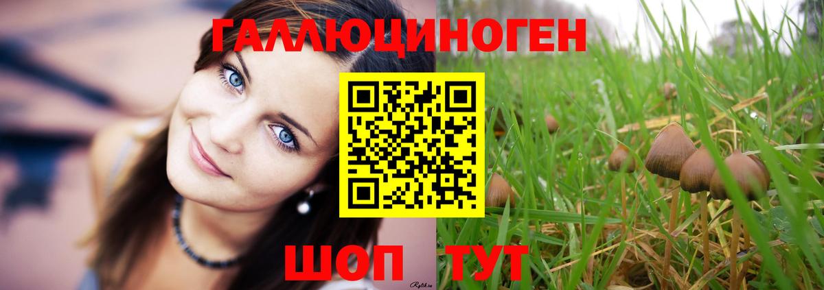Галлюциногенные грибы GOLDEN TEACHER Пушкино